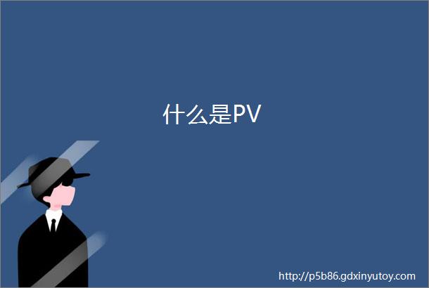 什么是PV